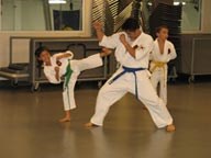 Teacher and student participating in Tae Kwon Do as another student watches in background